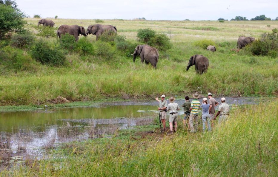 Kapama Southern Camp