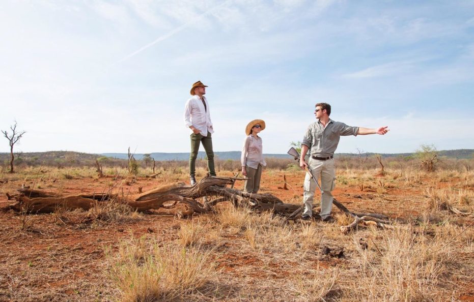 Madikwe Hills Private Game Lodge