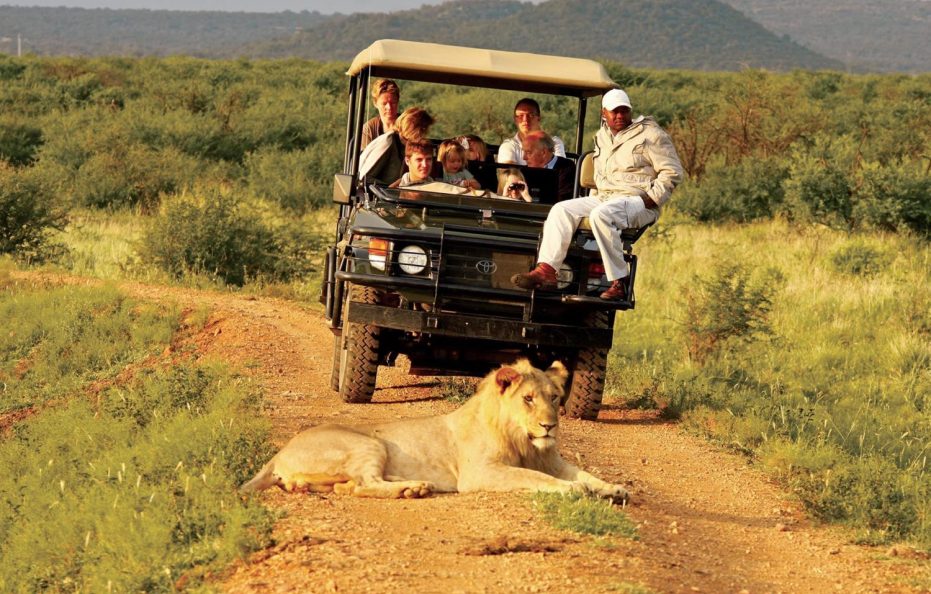 Madikwe Hills Private Game Lodge