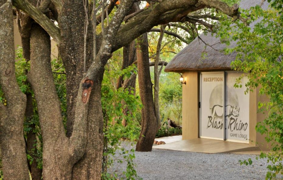 Black Rhino Game Lodge