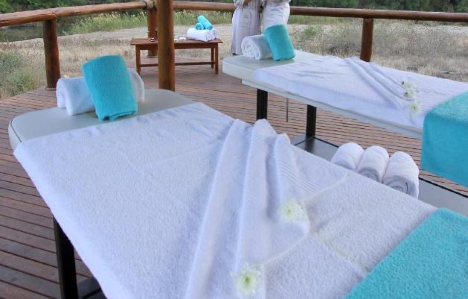 Amakhosi Safari Lodge & Spa