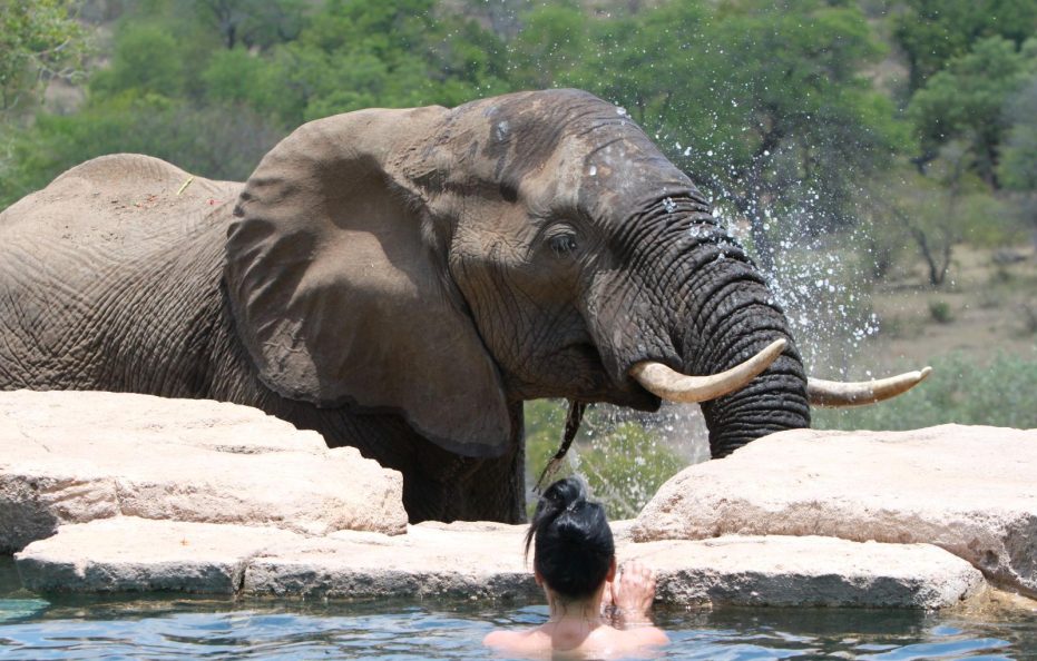 Makamu Private Game Lodge