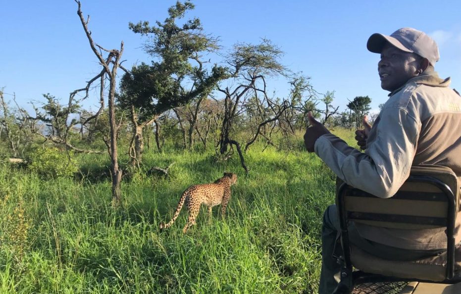 Amakhosi Safari Lodge & Spa