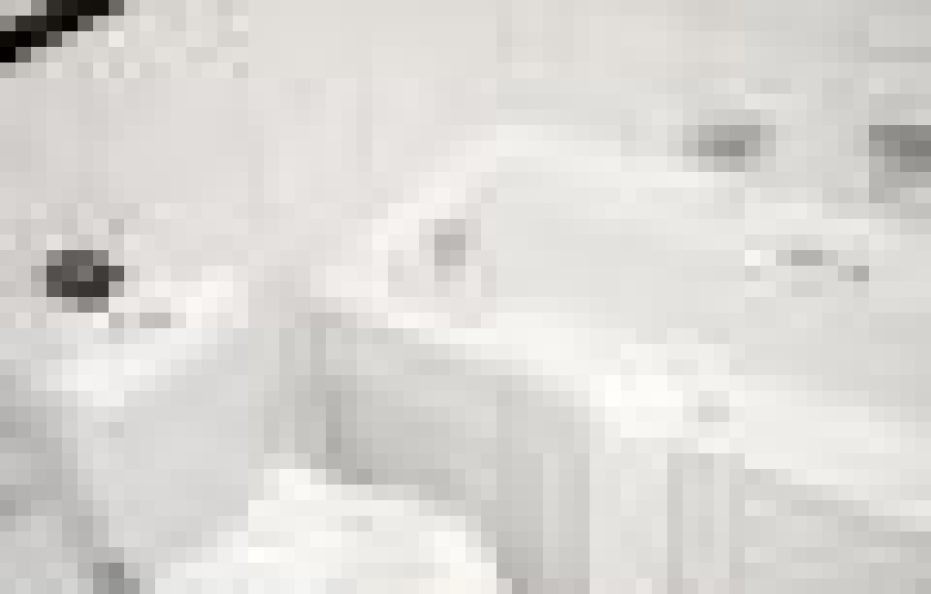 Indaba Standard Double Rooms