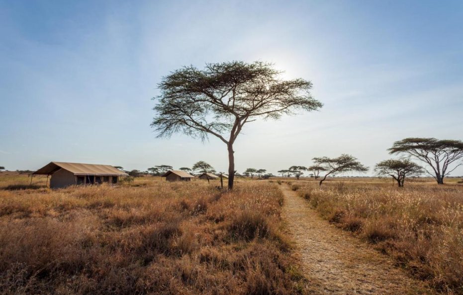 Mawe Tented Camp