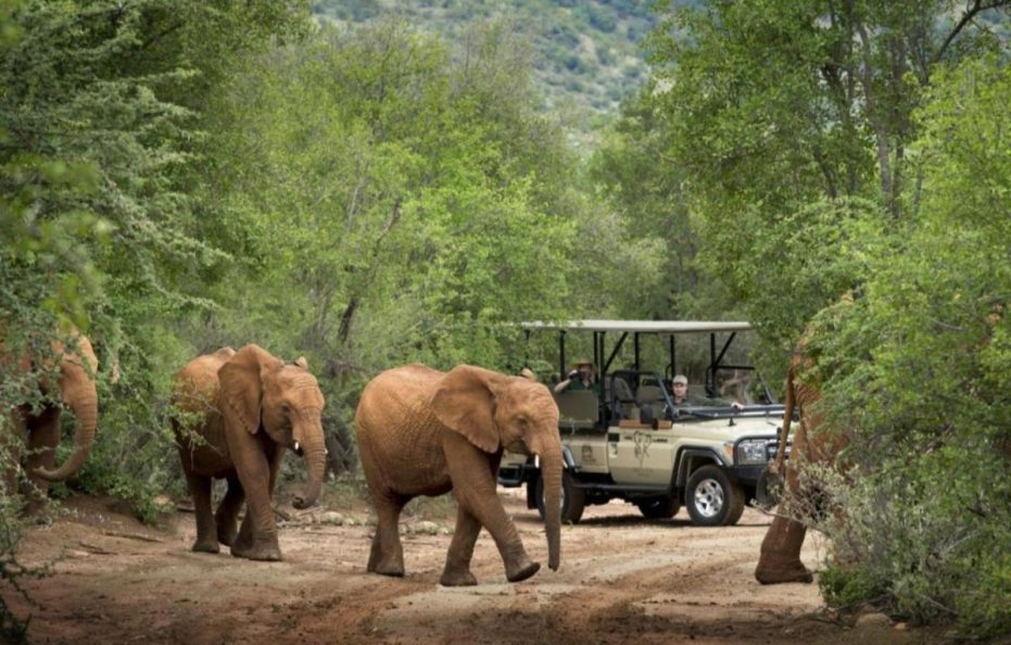 Mbazo Safari Lodge
