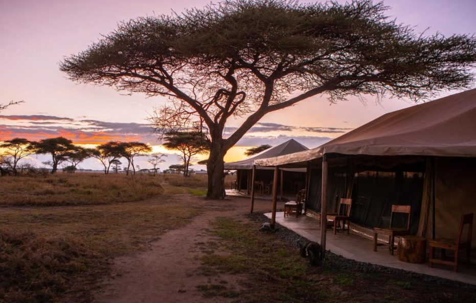 Mawe Tented Camp