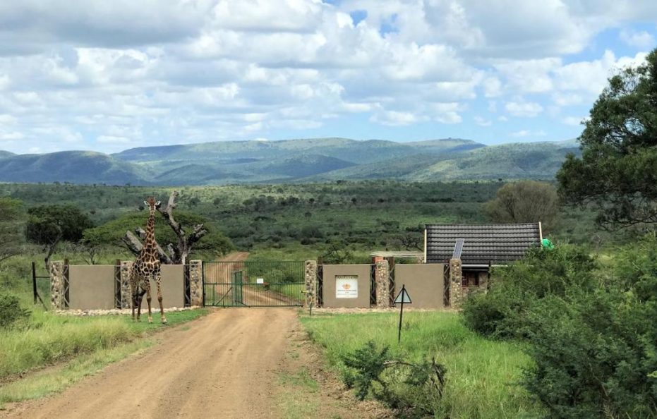 Amakhosi Safari Lodge & Spa