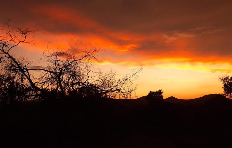 Amakhosi Safari Lodge & Spa