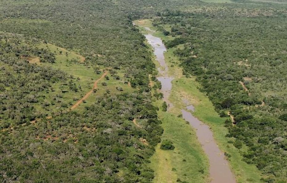 Amakhosi Safari Lodge & Spa