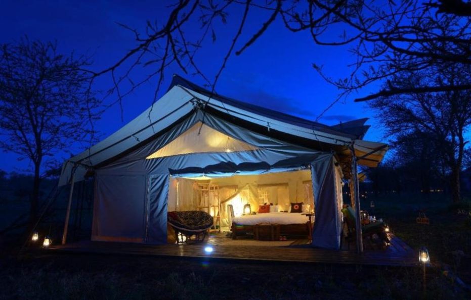 Asanja Moru Family Tented Villa