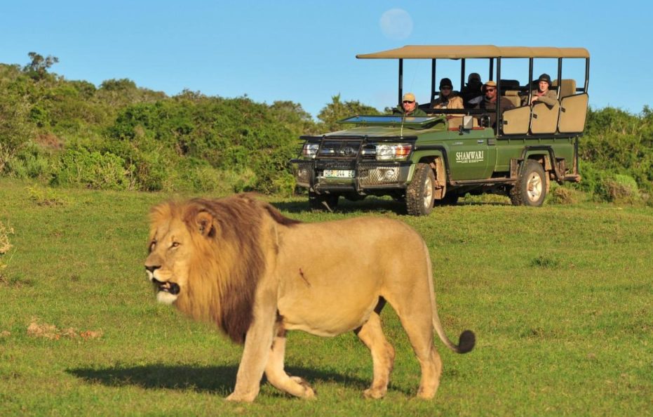 Eagles Crag Lodge – Shamwari