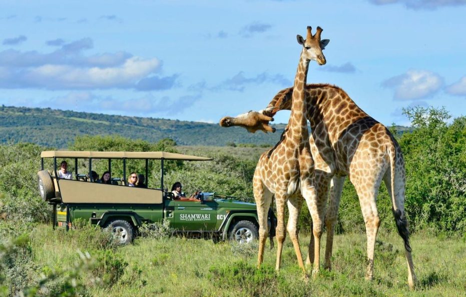 Eagles Crag Lodge – Shamwari