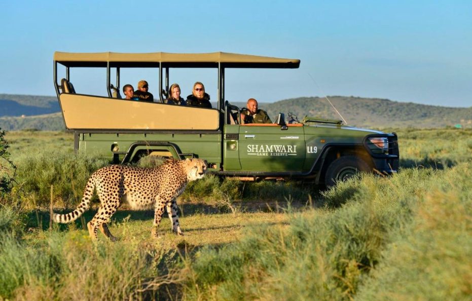 Eagles Crag Lodge – Shamwari