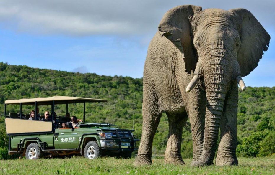 Eagles Crag Lodge – Shamwari