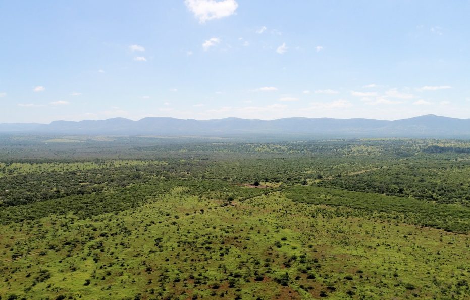 Thanda Safari Lodge