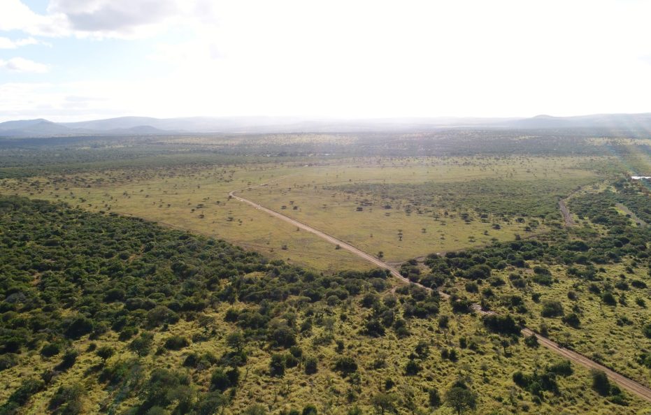 Thanda Safari Lodge