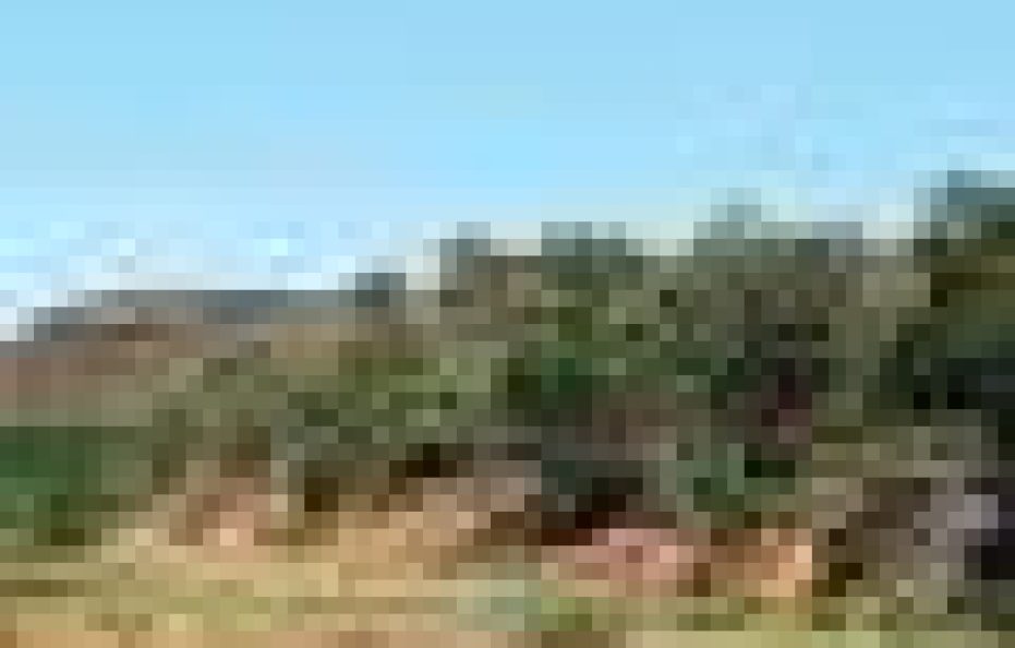 Pel’s Post Exclusive Villa