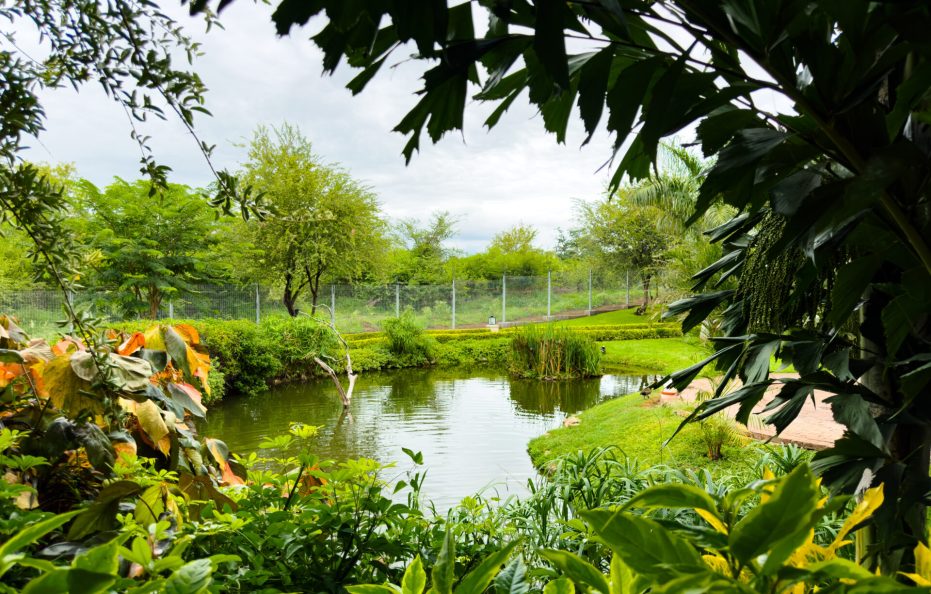 Shearwater’s Explorers Village