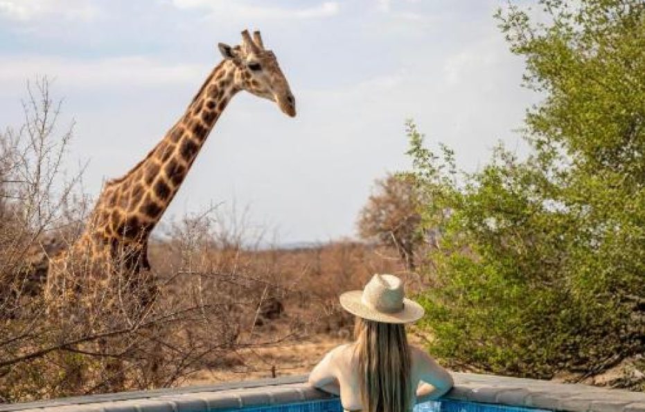 Tuningi Safari Lodge