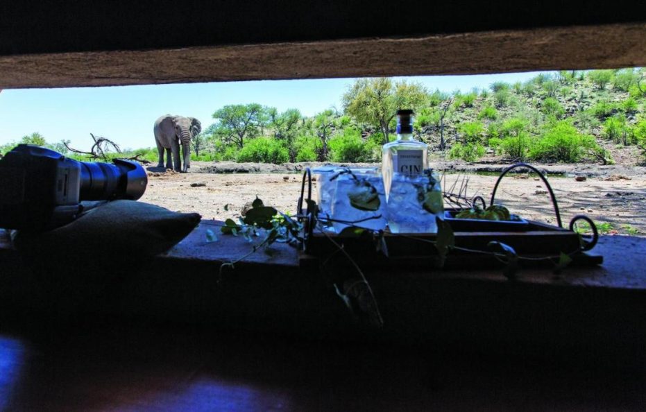 Tuningi Safari Lodge