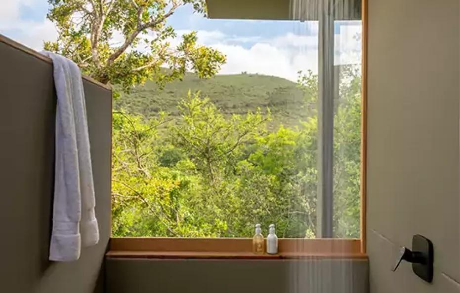 Bayethe Lodge – Shamwari