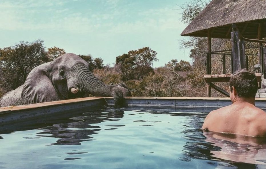 Siviti Timbavati Plains Lodge
