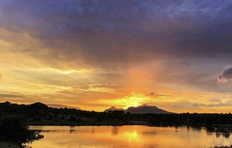 Siviti Timbavati Plains Lodge
