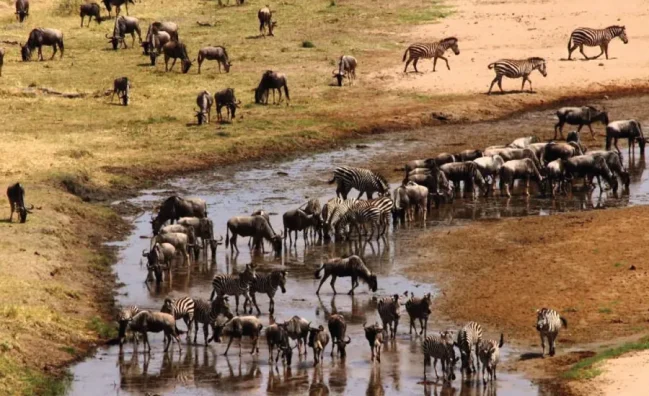 Tanzania Luxury Safari and Zanzibar Island Vacations – Option 1