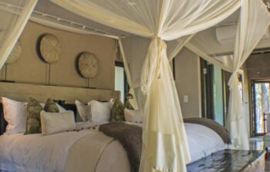 Siviti Timbavati Plains Lodge