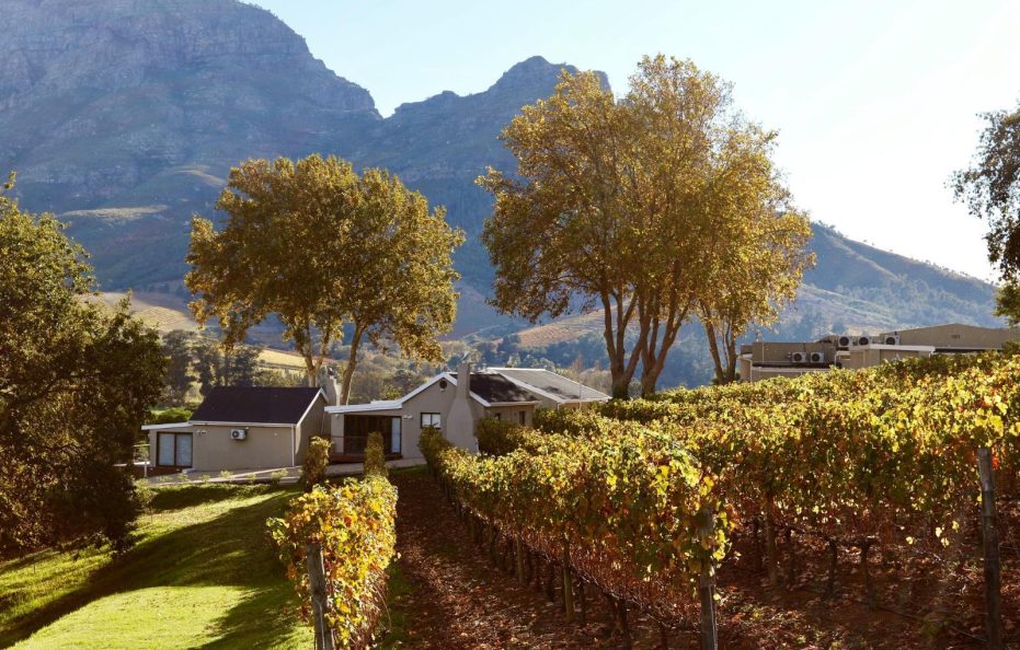 Alluvia Boutique Hutton Suite