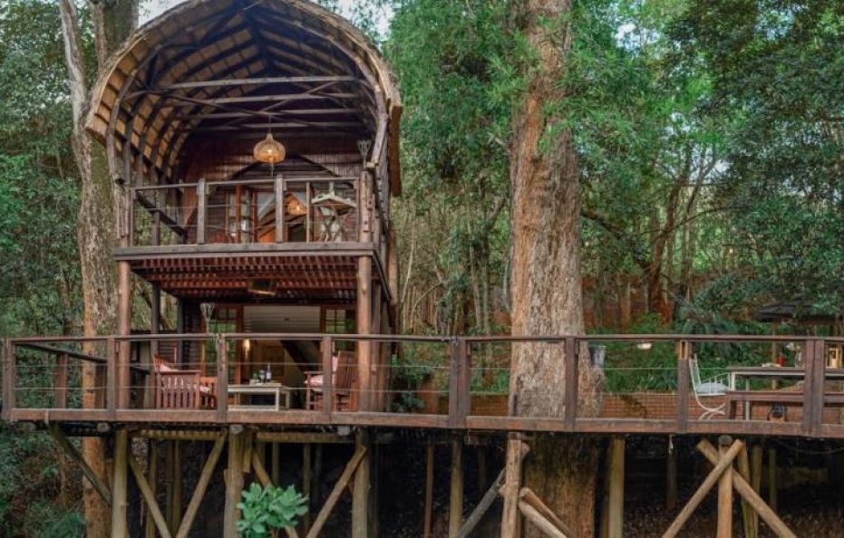 Serenity Mountain and Forest Lodge
