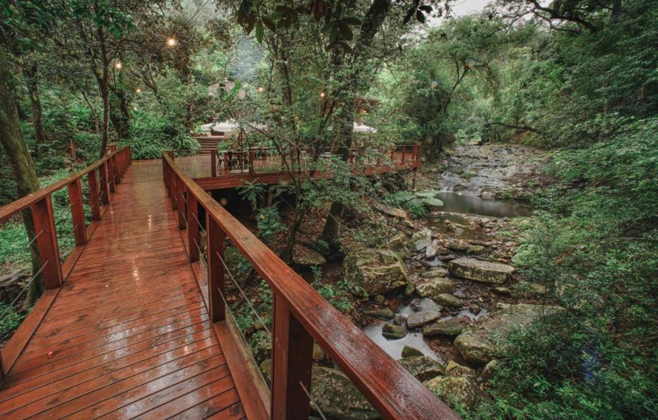 Serenity Mountain and Forest Lodge