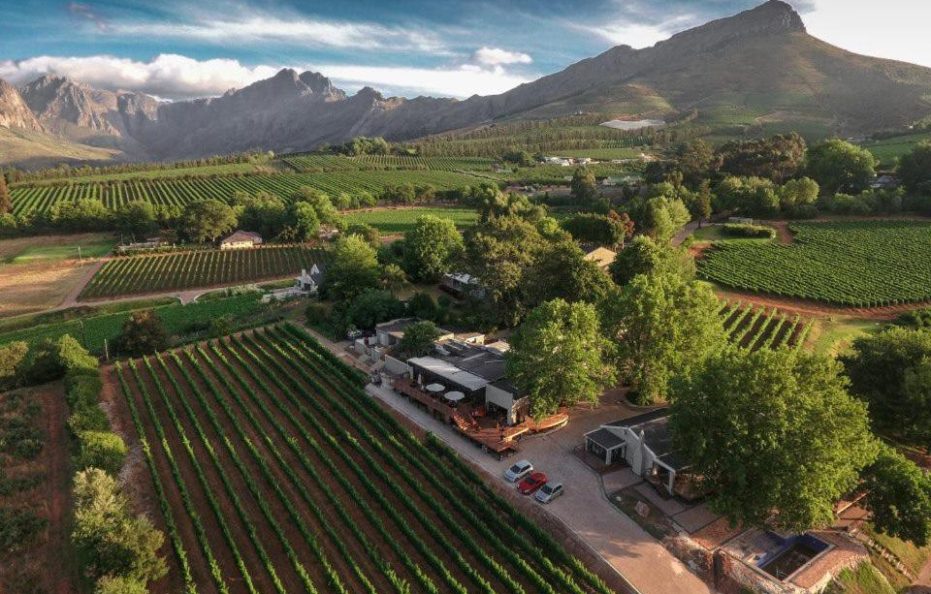Alluvia Boutique Winery & Luxury Accommodation