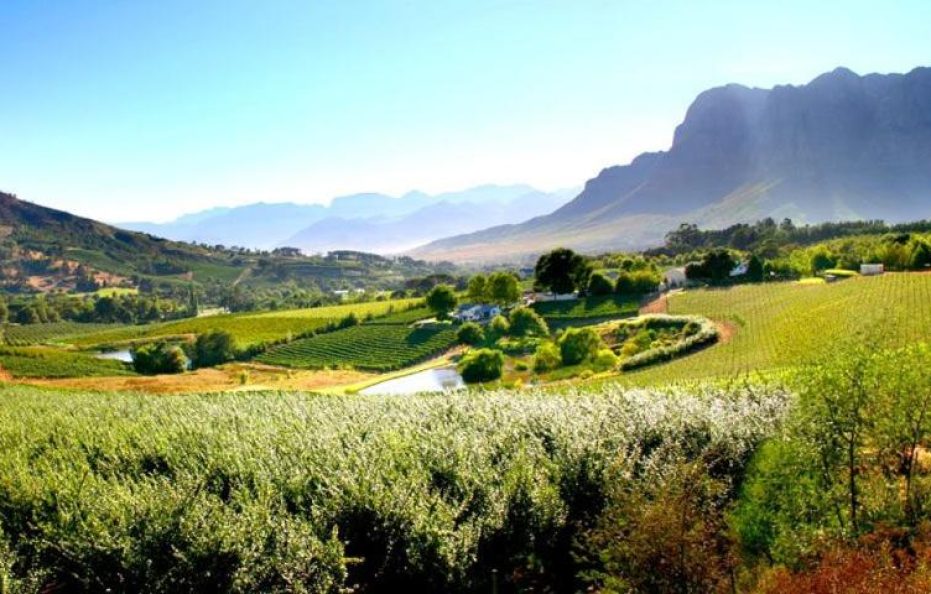 Alluvia Boutique Winery & Luxury Accommodation