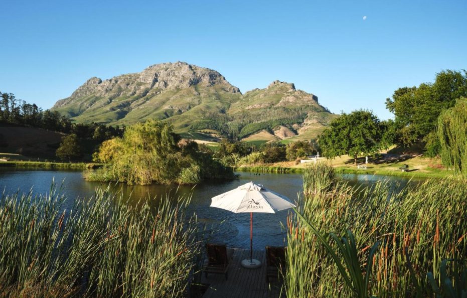 Alluvia Boutique Winery & Luxury Accommodation
