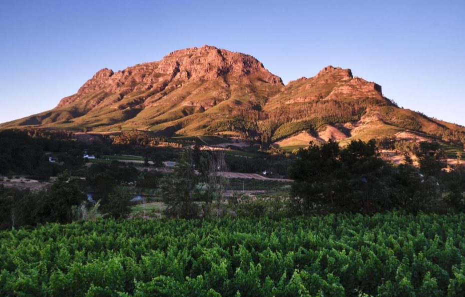 Alluvia Boutique Winery & Luxury Accommodation