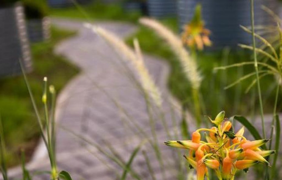 Bridge House Garden Suite 2