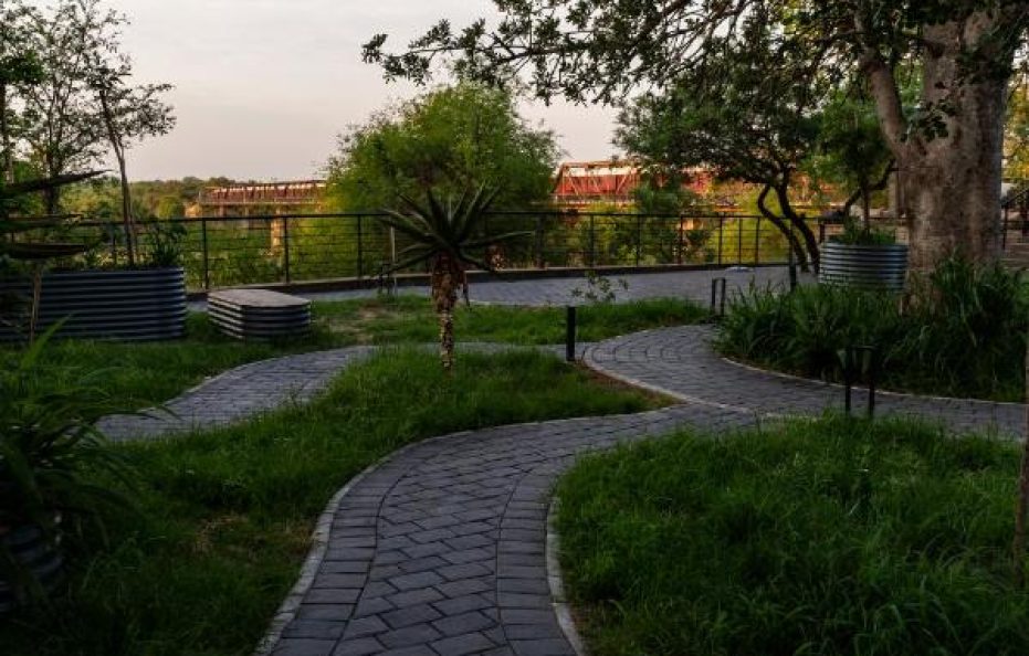 Train on The Bridge and Garden Suites – Kruger Shalati