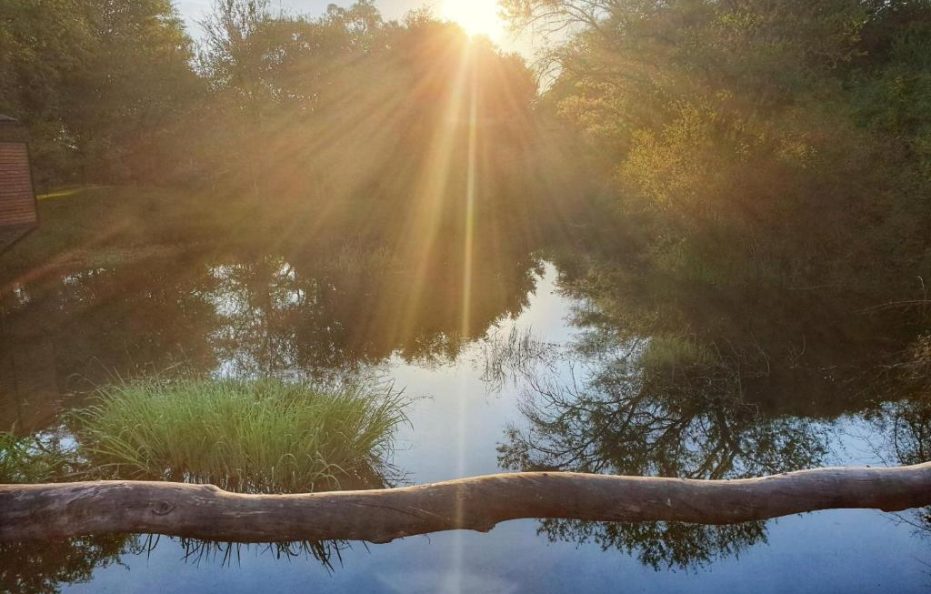 Mukwa River Island Suite