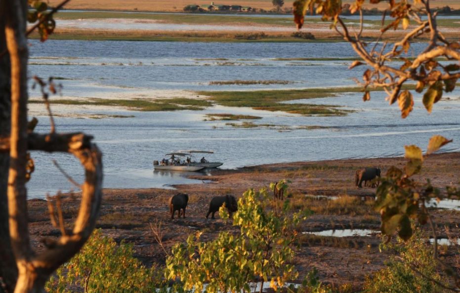 Elephant Valley Lodge