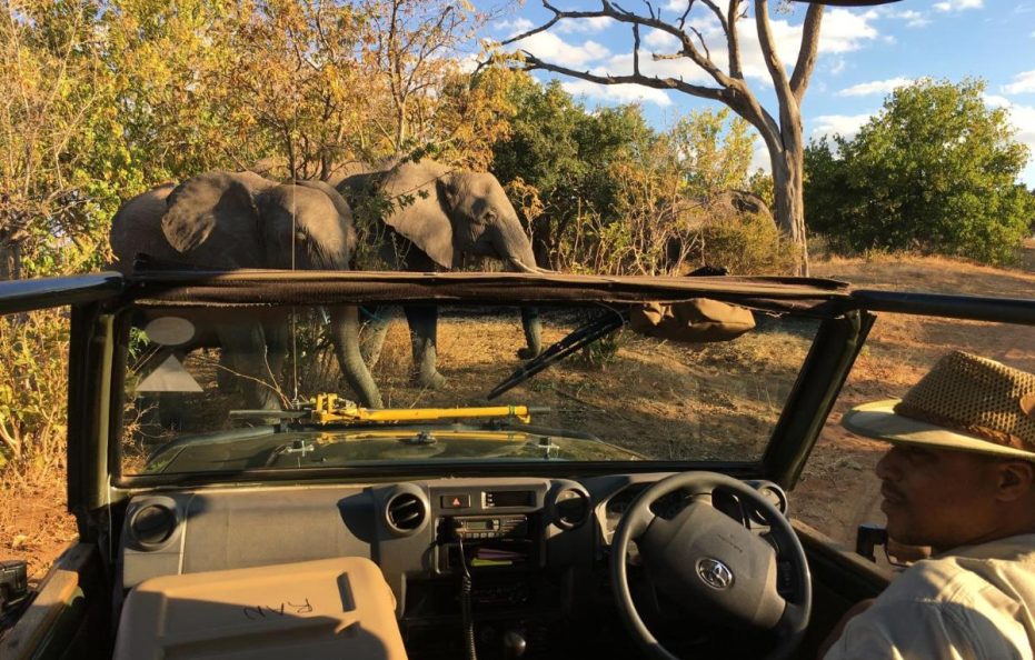 Elephant Valley Lodge