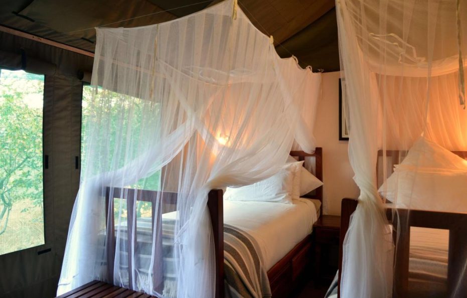Elephant Valley Lodge