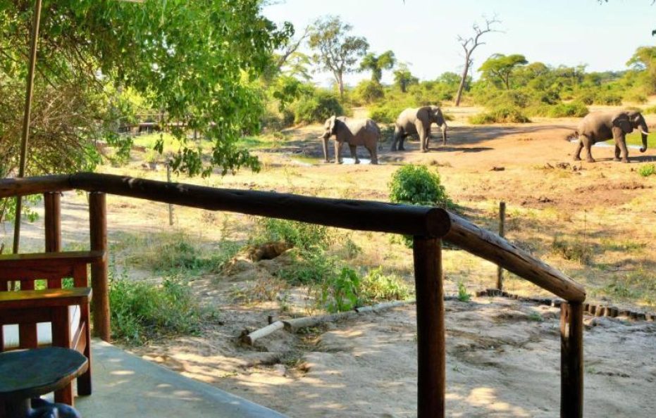 Elephant Valley Lodge