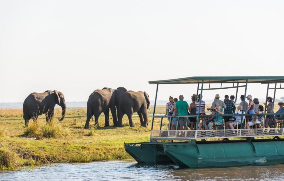 Chobe Marina Lodge
