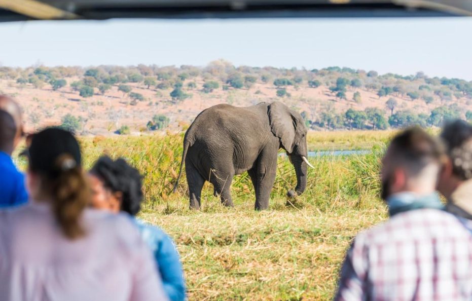 Chobe Marina Lodge