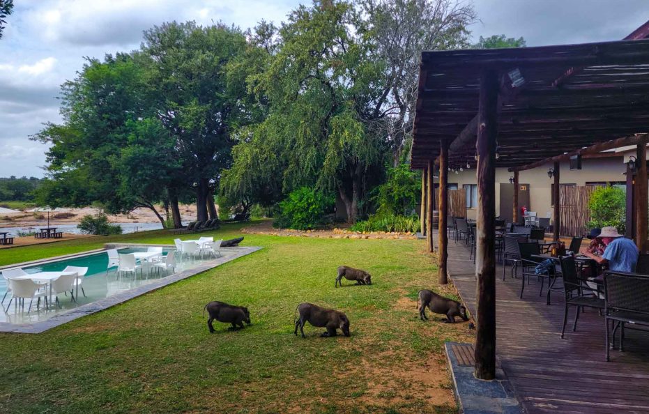 Mjejane River Lodge