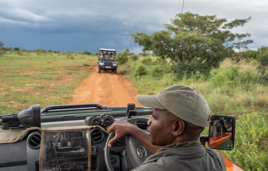 Ndlovu Safari Lodge