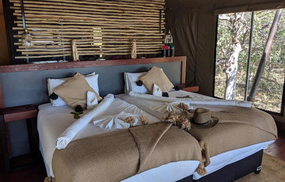 Saguni Standard Forest Tents