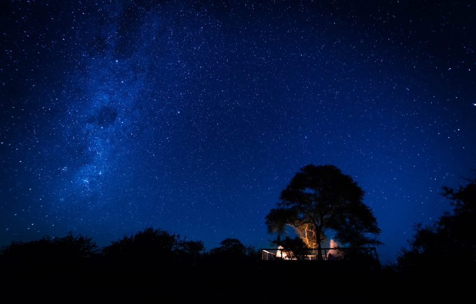 Tulela Safari Lodge